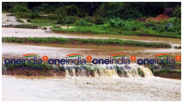 30,500 ಹೆಕ್ಟೇರ್ನಲ್ಲಿ ಭತ್ತ ಬೆಳೆಯುವ ಗುರಿ
