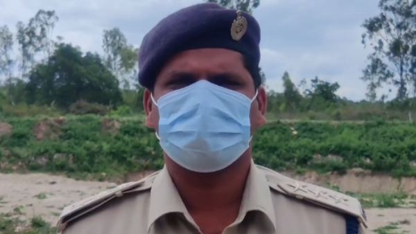 ಹುಲಿಗಳ ಬೆಳವಣಿಗೆ ಶೇ.50 ರಷ್ಟು ಹೆಚ್ಚಾಗಿದೆ