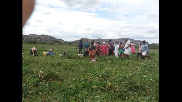 ಹಿರಿಯ ಅಧಿಕಾರಿಗಳ ಉಪಸ್ಥಿತಿಯಲ್ಲೇ ಲಸಿಕೆ ವಿತರಣೆ