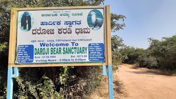 ಸಫಾರಿ ಮಾಡುವುದಕ್ಕೆ ರಸ್ತೆ