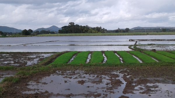 ಕಪಿಲೆ ರೌದ್ರಾವತಾರ ತಾಳದಿರಲೆಂದು ಪ್ರಾರ್ಥನೆ