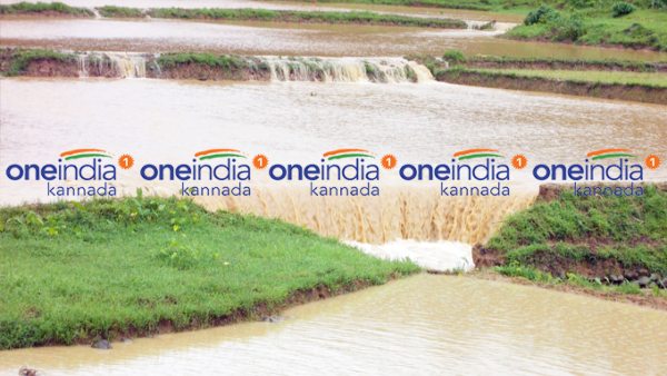 ಭತ್ತದ ಕೃಷಿಯಿಂದ ವಿಮುಖರಾದ ಬೆಳೆಗಾರರು