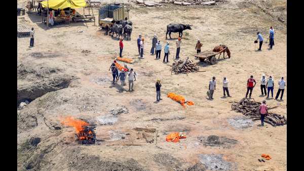 ಗಂಗಾ ನದಿಯಲ್ಲಿ ನೂರಕ್ಕೂ ಹೆಚ್ಚು ಶವಗಳು ಅನಾಥವಾಗಿ ನಡಿ ದಂಡೆಯಲ್ಲಿ