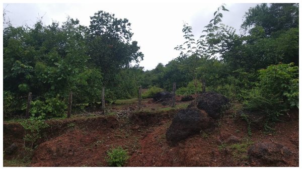 ಕರೆಂಟ್ ಇಲ್ಲ ಅಂದರೆ ಇಂಟರ್ನೆಟ್ ಕೂಡಾ ಕಟ್