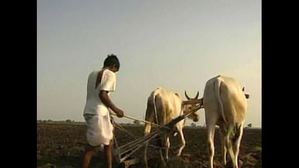 ಮೃತ ರೈತ ಕುಟುಂಗಳಿಗೆ ನೆಮ್ಮದಿ?