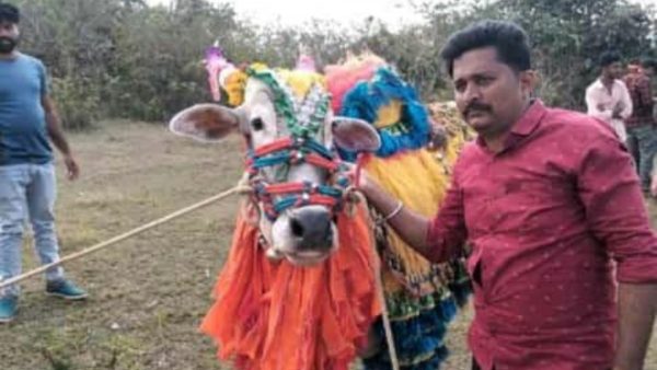ಸುತ್ತಮುತ್ತ ಜಿಲ್ಲೆಯ ಡಾನ್