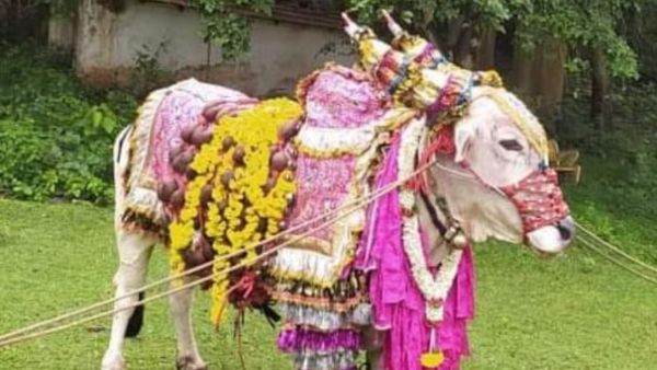 ಎಲ್ಲಾ ರೀತಿಯೂ ಬೇಸಾಯಕ್ಕೂ ಸೈ