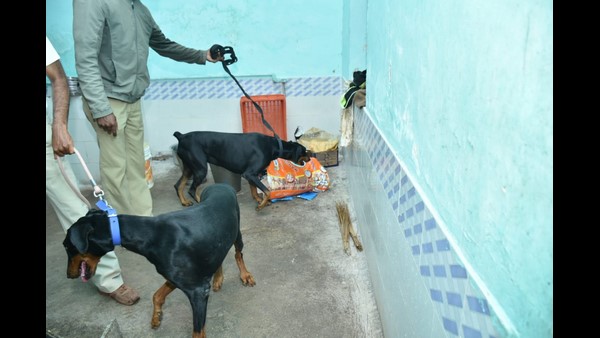 Bengaluru Police raid Parappana Agrahara Central Prison, houses of several Rowdy sheeters across Bengaluru Bengaluru Police raid Parappana Agrahara Central Prison, houses of several Rowdy sheeters across Bengaluru