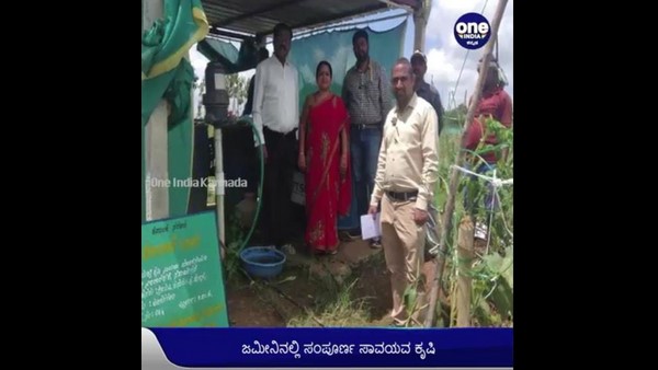 Hubballi: Engineering College Principal Left Job to do Organic Farming with wife at Hindasageri village Hubballi: Engineering College Principal Left Job to do Organic Farming with wife at Hindasageri village