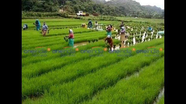 ಎತ್ತುಗಳ ಬದಲಿಗೆ ಯಂತ್ರಗಳು