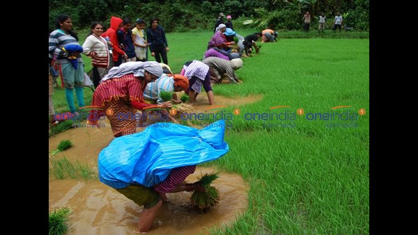 ದೊಡ್ಡನಾಟಿಗೆ ಮಾಂಸದೂಟದ ಸಂಭ್ರಮ