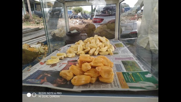 ರೋಗಗಳಿಗೆ ಮದ್ದು