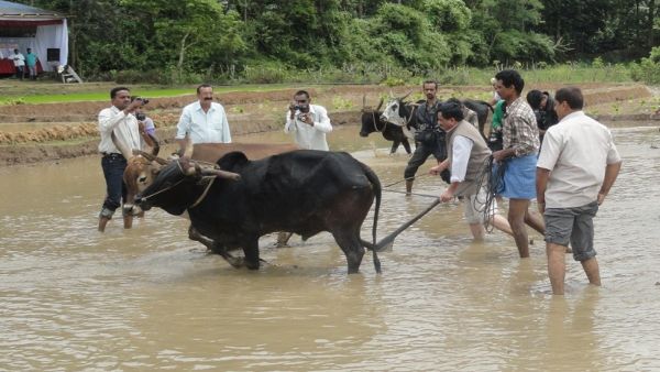 ಸುರಿಯುವ ಮಳೆ, ಕೊರೆಯುವ ಚಳಿ