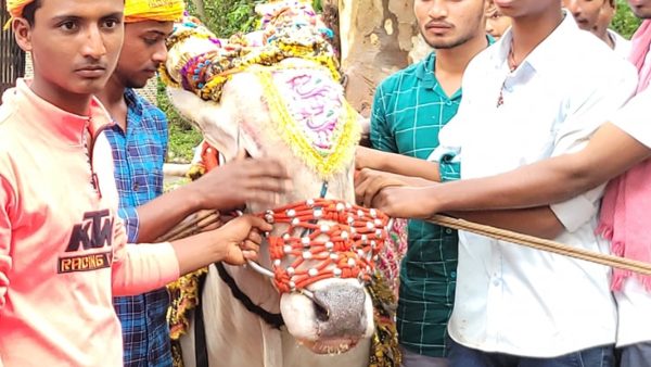 ಸೋಲಿಲ್ಲದ ಸರದಾರ ಈ ಡಾನ್