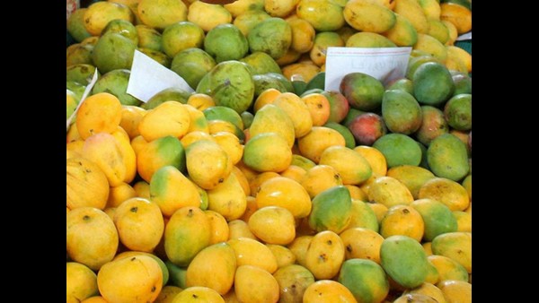 Chitradurga: Rs 3.43 Crore Covid Relief For Flower, Fruit And Vegetable Growers Chitradurga: Rs 3.43 Crore Covid Relief For Flower, Fruit And Vegetable Growers