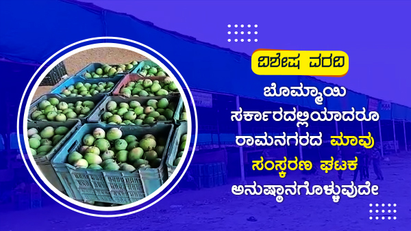 ಸೀಸನ್ನಲ್ಲಿ ಸರಾಸರಿ 400 ಟನ್ ಮಾವು ಉತ್ಪಾದನೆ