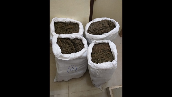 Police Have Seized 102 kg Marijuana In Chikkamagaluru Taluk Police Have Seized 102 kg Marijuana In Chikkamagaluru Taluk
