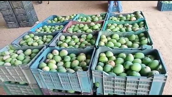 ತಪ್ಪಲಿದೆ ರೈತರ ಆತಂಕ