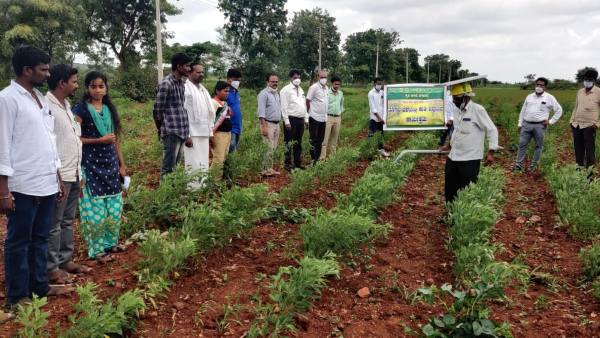 Monsoon Crops Agriculture Department Suggestion To Farmers Monsoon Crops Agriculture Department Suggestion To Farmers