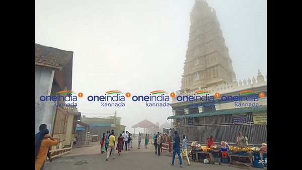 ಮೆಟ್ಟಿಲೇರಿ ಕೃತಾರ್ಥರಾಗುವ ಭಕ್ತರು
