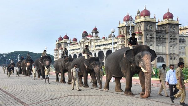ಗಜಪಡೆಗೆ ರಾಜಾತಿಥ್ಯದ ಭೋಜನ