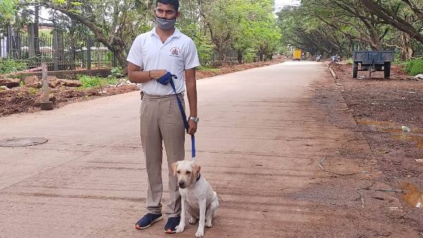 Rani A Female Dog Joined Dog Squad Of Mangaluru City Police Rani A Female Dog Joined Dog Squad Of Mangaluru City Police