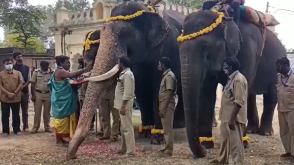 ಗಜಪಡೆ ಹಾಗೂ ಅಶ್ವರೋಹಿ ಪಡೆಗಳಿಗೆ ಕುಶಾಲತೋಪು ತಾಲೀಮು