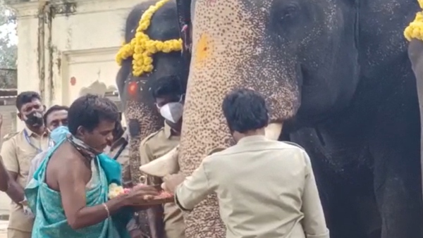 ಭಾರ ಹೊರುವ ತಾಲೀಮು
