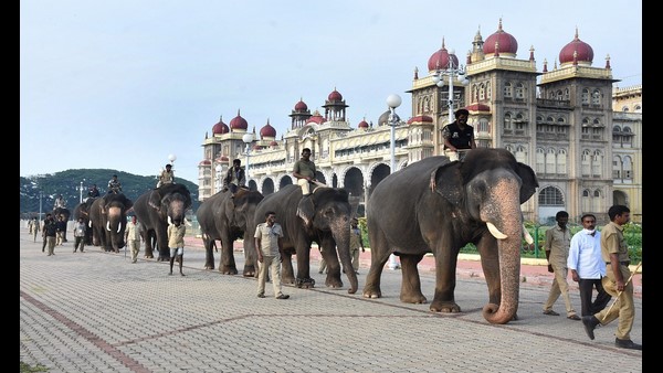 ಈ ಬಾರಿ ಅರಮನೆ ಆವರಣದಲ್ಲಿಯೇ ತಾಲೀಮು