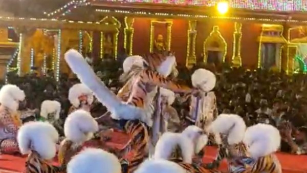 ರಾಜಬೀದಿಗಳು ವಿದ್ಯುತ್ ದೀಪಗಳಿಂದ ಅಲಂಕೃತ