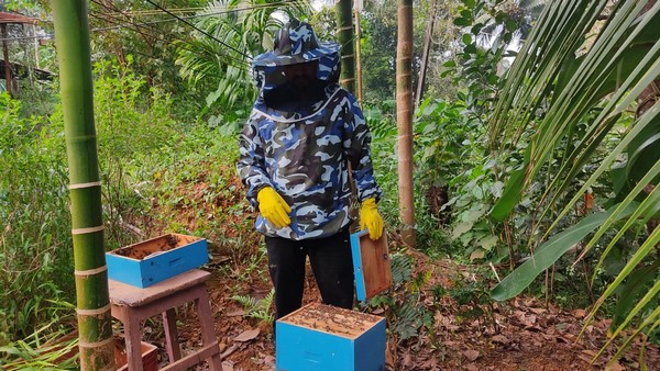 Heavy Demand For Bee Poison: Mangaluru Youth Successful In Poison Collection Heavy Demand For Bee Poison: Mangaluru Youth Successful In Poison Collection