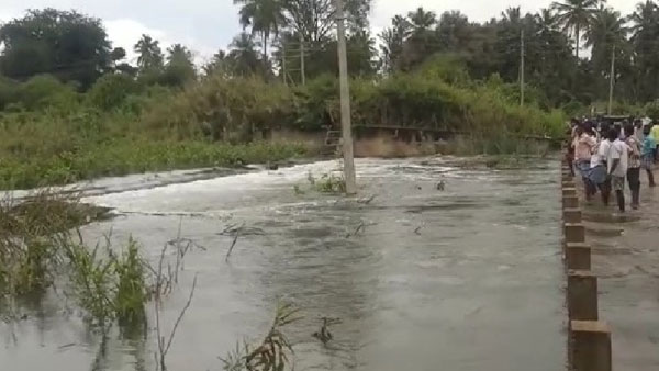 Dead Bodies Found Afloat In Kanva River Due To Heavy Rain Dead Bodies Found Afloat In Kanva River Due To Heavy Rain
