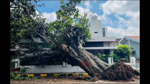 ರೈತರು ಮಳೆ ಬಾರದಿದ್ದರೆ ಸಾಕೆಂದು ದೇವರಲ್ಲಿ ಪ್ರಾರ್ಥನೆ