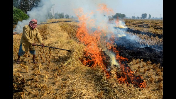 Delhi People sit in 5 star hotels and Blaming farmers for pollution, But why ignore firecrackers: SC Delhi People sit in 5 star hotels and Blaming farmers for pollution, But why ignore firecrackers: SC