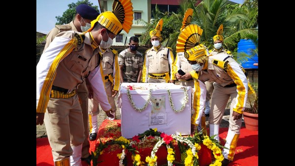 Mangaluru Airport CISF Bomb Detective Dog Lina Dies Mangaluru Airport CISF Bomb Detective Dog Lina Dies