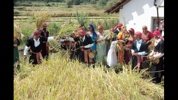 ರಾತ್ರಿ 8.35ಕ್ಕೆ ಕದಿರು ತೆಗೆಯಲು ಸೂಕ್ತ