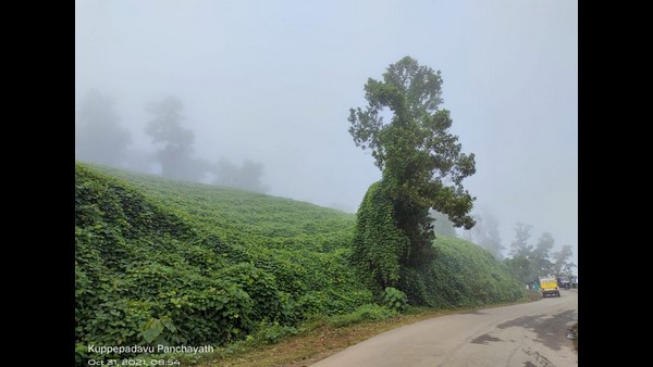 ಮಂಗಳೂರಿನ ಕುಪ್ಪೆಪದವು ಗ್ರಾಮ ಪಂಚಾಯತ್