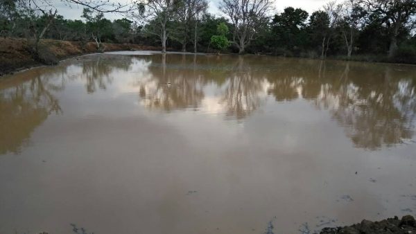 Rains Fill Up Lakes At Bandipur Forest Rains Fill Up Lakes At Bandipur Forest