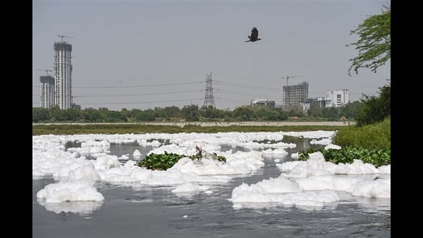 People take dip in Yamuna in the midst of toxic foam on Chhath Puja People take dip in Yamuna in the midst of toxic foam on Chhath Puja