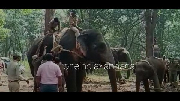 ಆರು ವರ್ಷದವರೆಗೆ ಜೊತೆಗಿರುತ್ತವೆ