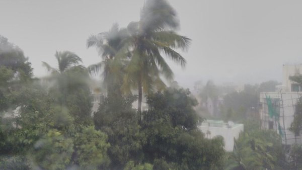 ಹಲವು ಜಿಲ್ಲೆಗಳಲ್ಲಿ ಮಳೆ ಮುನ್ಸೂಚನೆ
