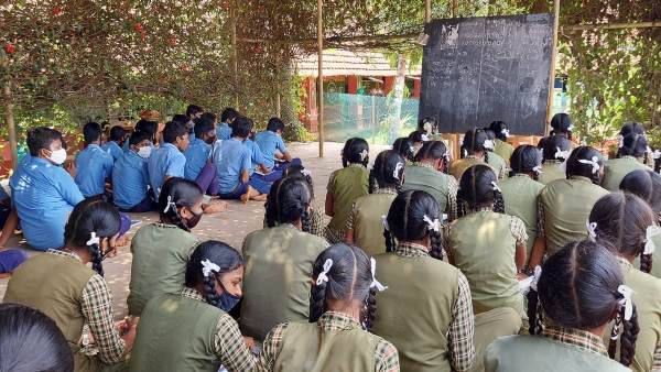 ಯಾವ, ಯಾವ ಬಳ್ಳಿಗಳು?