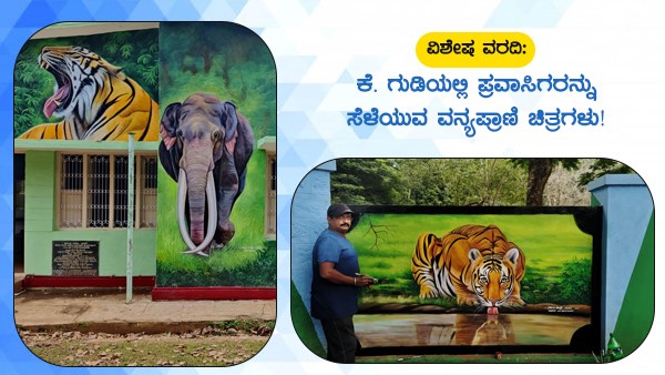 ಅರಣ್ಯಮಯದ ಸುಂದರ ಲೋಕ