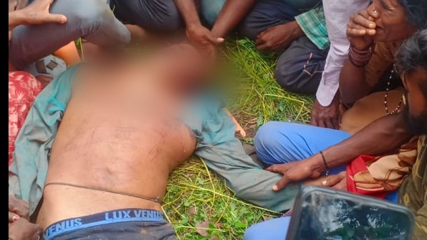 Chikkamagaluru: Elephant attacks on coffee plantation workers, one dead Chikkamagaluru: Elephant attacks on coffee plantation workers, one dead