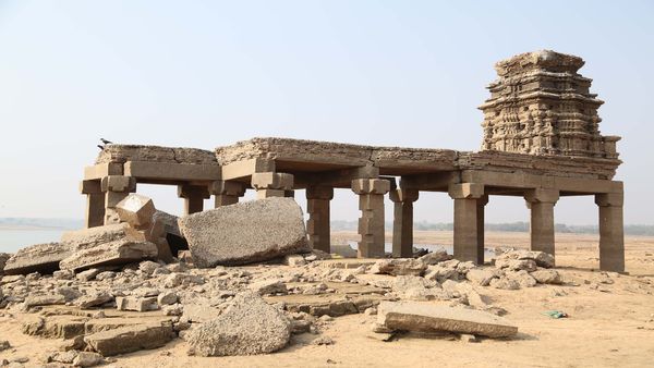 ಕಾಫಿ ತೋಟಕ್ಕೆ ನೀರಿನ ಕೊರತೆ ಇಲ್ಲ