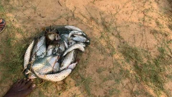 ತುಳುನಾಡಿನ ಜಾತ್ರೆ ಮುಕ್ತಾಯ