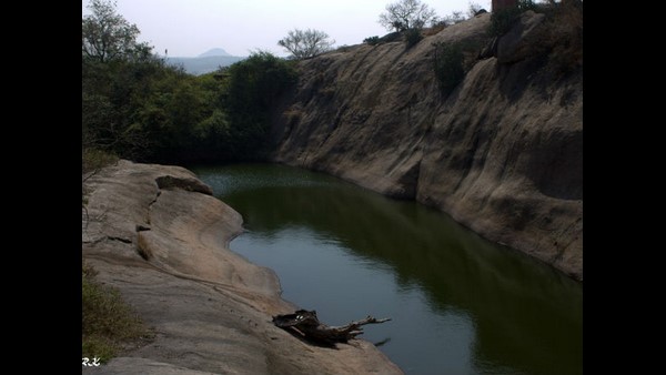 ರಣಹದ್ದು ಅವಸಾನದ ಅಂಚಿನಲ್ಲಿದೆ