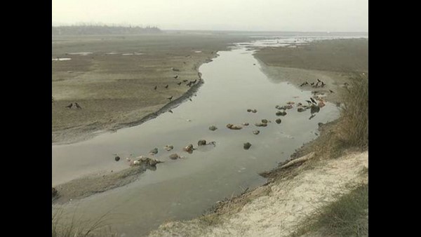 ವಿದ್ಯುತ್ ಚಿತಾಗಾರ ಸ್ಥಾಪನೆ