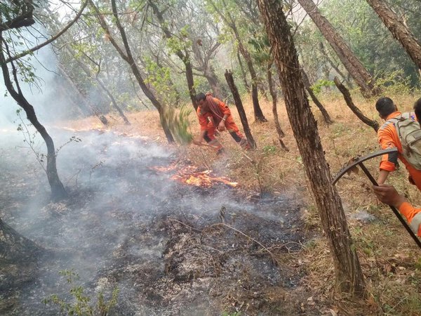 Forest Fire Triggers Landmine Explosions Along Line Of Control In Poonch Forest Fire Triggers Landmine Explosions Along Line Of Control In Poonch