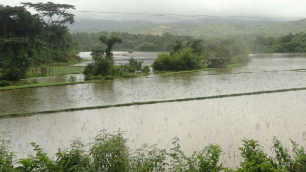 ಹೋಬಳಿವಾರು ದಾಖಲಾಗಿರುವ ಮಳೆ